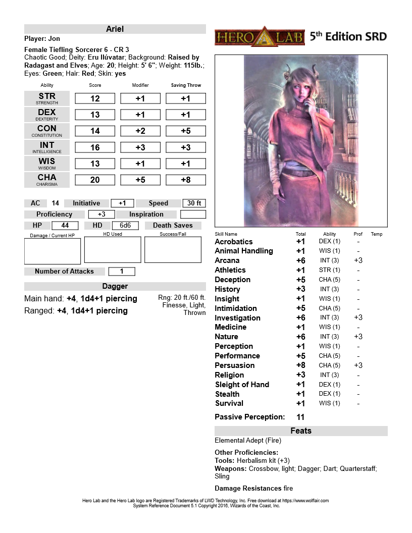ariel_1.png